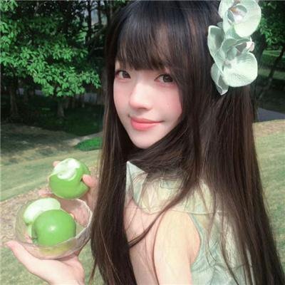玫瑰天涯